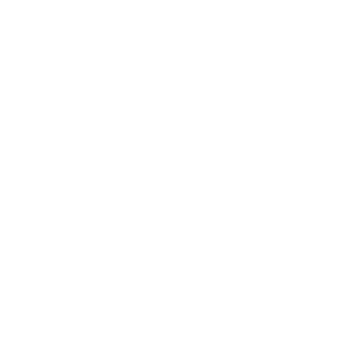 logowhite